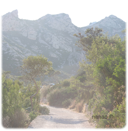 image retouch3