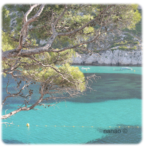 image retouch5